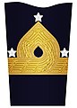 Sleeve insignia for a lieutenant general in the Amphibious Corps (2000–2003) and Coastal Artillery (1972–2000)