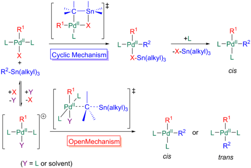 The two mechanisms, cyclic and open, of transmetallation in the Stille reaction