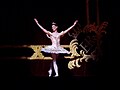 Zenaida Yanowsky as Sylvia in a Royal Ballet production of Sylvia, 7 March 2008.