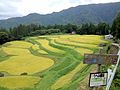 うへ山の棚田（日本の棚田百選、山陰海岸ジオパーク）