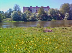 Махорка в районе мкр. Клиники пгт Софрино