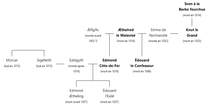 Arbre généalogique simplifié.