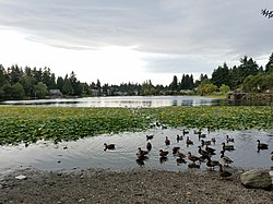 Bitter Lake on a cloudy afternoon