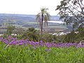 Farmland in the valley of the Uruguay River in Argentina