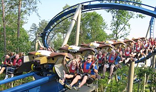 Wild Eagle à Dollywood