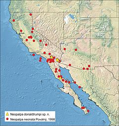 Distribuição do N. donaldtrumpi (triângulos amarelos)