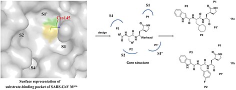 SARS-CoV-2の3CLpro阻害剤の設計戦略と、化学構造11aおよび11b。