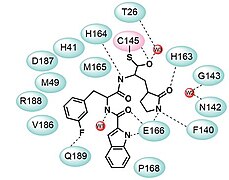 3CLpro阻害剤と化学物質11b