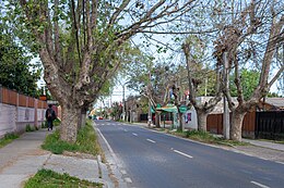 Hijuelas – Veduta