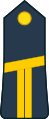 Lieutenant (Ivory Coast Ground Forces)[42]