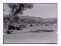 Jay Creek in 1947