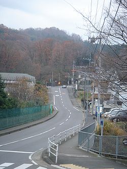 秦野市渋沢付近