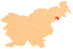 Location of the Municipality of Videm in Slovenia