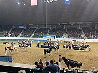 Interior, during the 2022 Minnesota State Fair