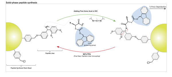 Table of amino acids