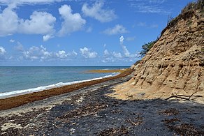 Playa Negra, a black sand beach