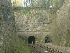 Rauenthaler Tunnel