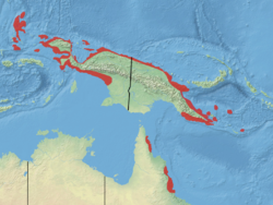 Distribución de Pteropus conspicillatus