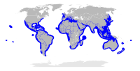 Distribución dos esfírnidos