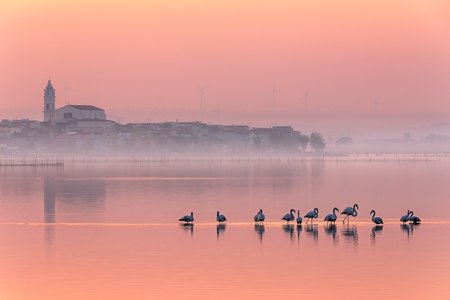 e menzione speciale FIAF Tutto rosa Scatto di: Alberto Busini