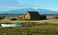 Les cabanes de pêcheurs de l'étang de Canet devant le Canigou[89].