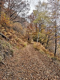 Picture representing the way up to Monte Piambello (Autumn 2020)