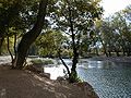 Les bords du Verdouble près de la Caune de l'Arago (2005).