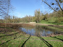 Bassin des Damoiseaux.