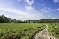 Hills between Sona and Sommacampagna.