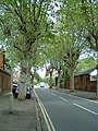 Conduit Road, leading south from the southeastern corner of Albert Park