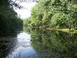 Little Danube in the village