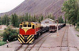 A cargo train at Ingeniero Maury station