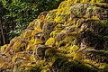 Hoher Brunnen bei Sollngriesbach – schon recht aussedimentierte und überwachsene Sinterterrassen