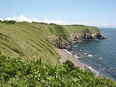 ウミウ展望台より望むウミウ等生息地