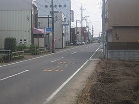 神輿・山車の渡御が行われる小鶴商店街通り