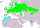 Aire de répartition de la Locustelle tachetée