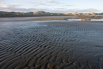 Beach in low tide