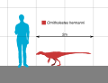 Ornitholestes