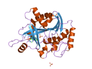 2a0x: Structure of human purine nucleoside phosphorylase H257F mutant