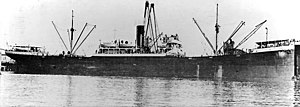 Seisho Maru had design and measurements similar to West Carnifax, a sister ship from the same shipyard seen here.