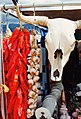 Image 33Symbols of the Southwest: a string of dried chile pepper pods (a ristra) and a bleached white cow's skull hang in a market near Santa Fe. (from New Mexico)