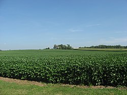 Richland Township is generally a flat area of farm fields.