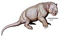 Stylinodon mirus