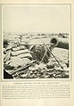 Confederate Fortifications at Yorktown