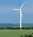 Vestas wind turbines