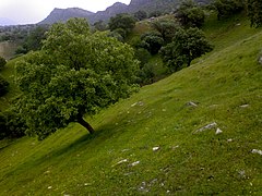 منطقه گردشگری شلالدون در اوایل بهار