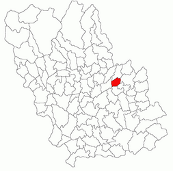 Location in Prahova County