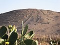 Geoglifos em Arica(Chile).