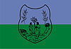 Flag of São Mateus