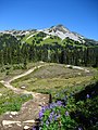 Black Tusk Meadows